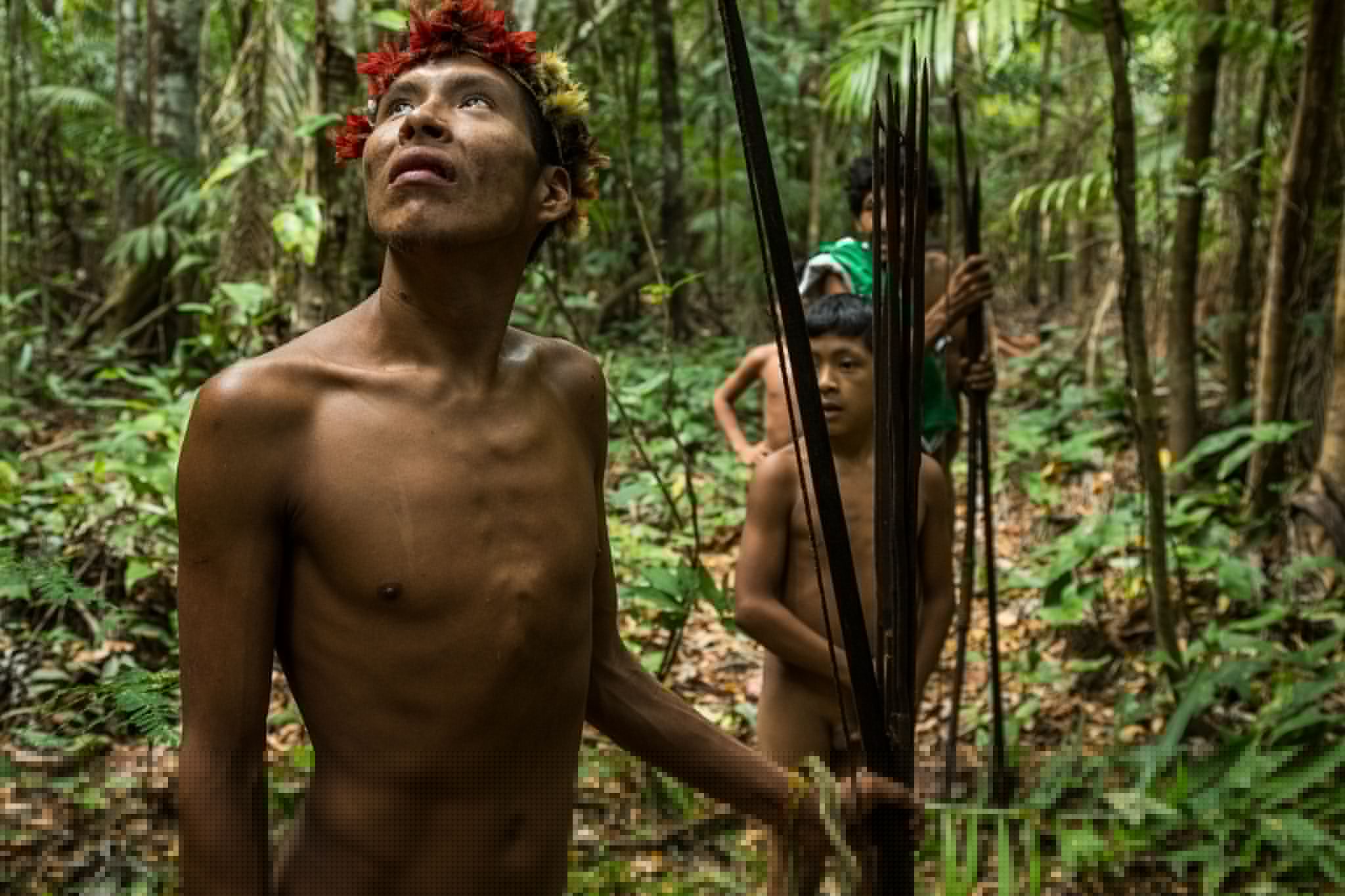 Uncontacted Tribe In Brazilian Jungle Uncontacted Tribe In Brazilian Jungle
